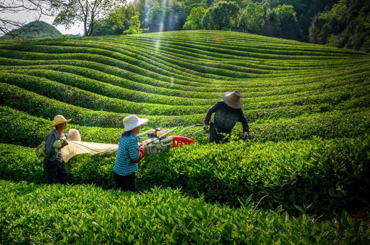特色農險.jpg